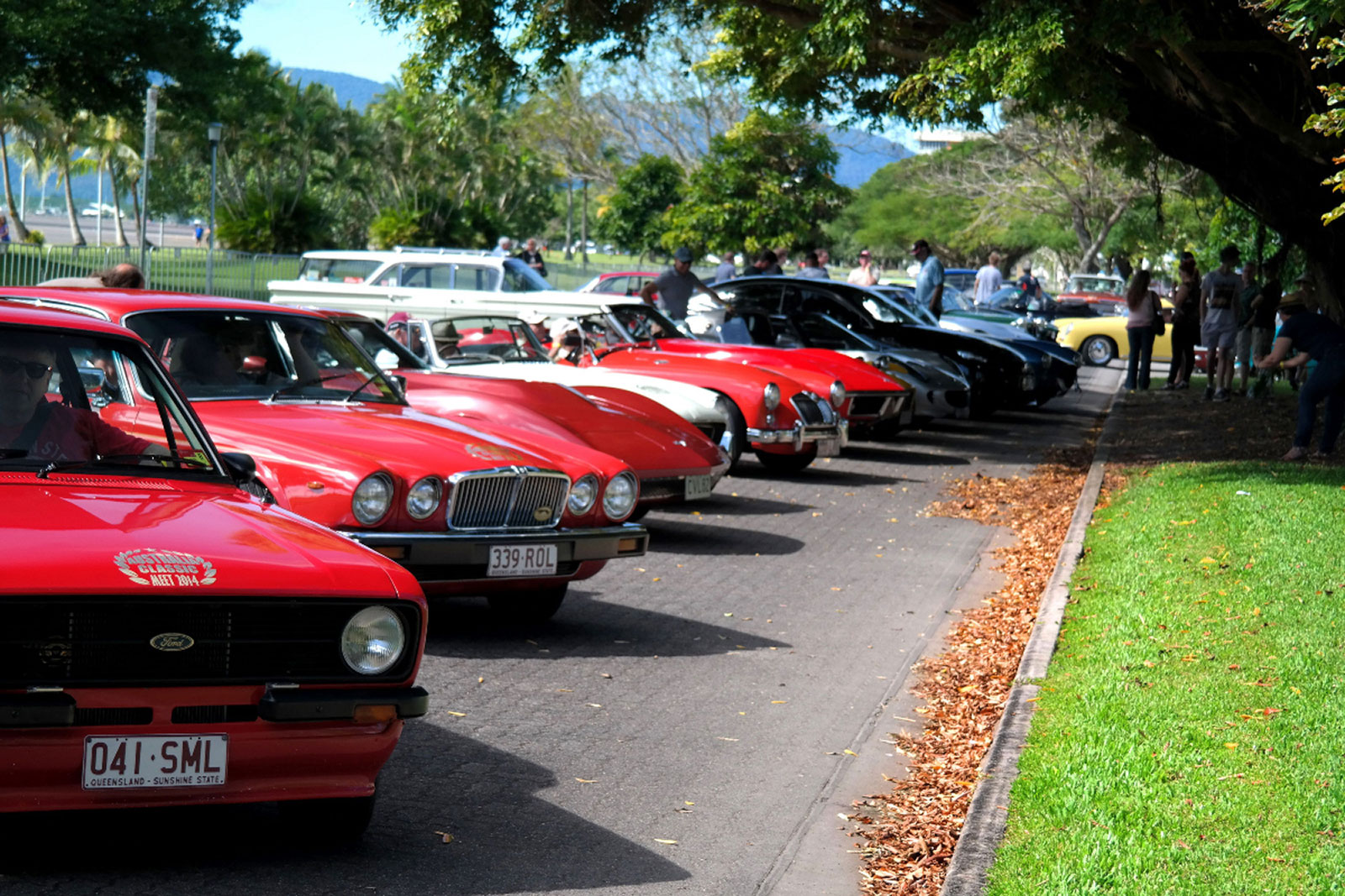 2014 AC Social Drive gallery